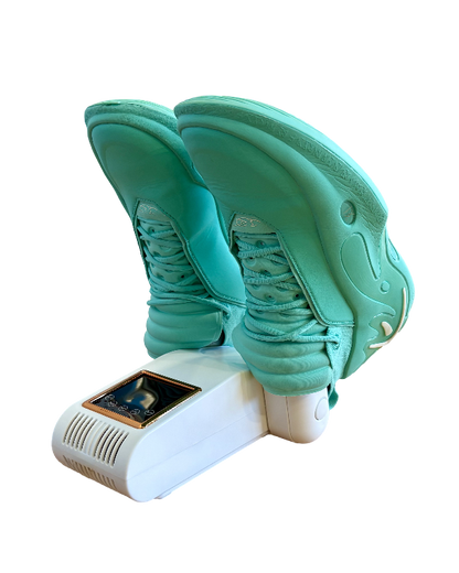 Shoe Dryer